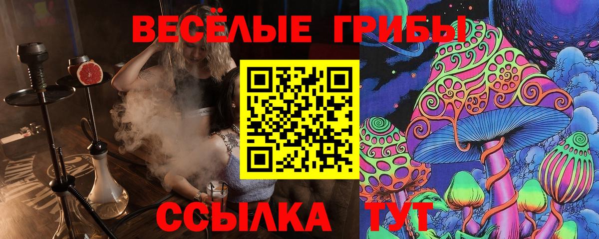 Псилоцибиновые грибы Psilocybe Рославль